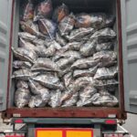 ropa usada conenedor 20 pies ropa mujer